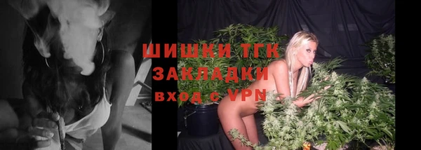 дживик Баксан
