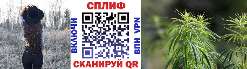 Бошки Шишки VHQ купить наркотик Любим